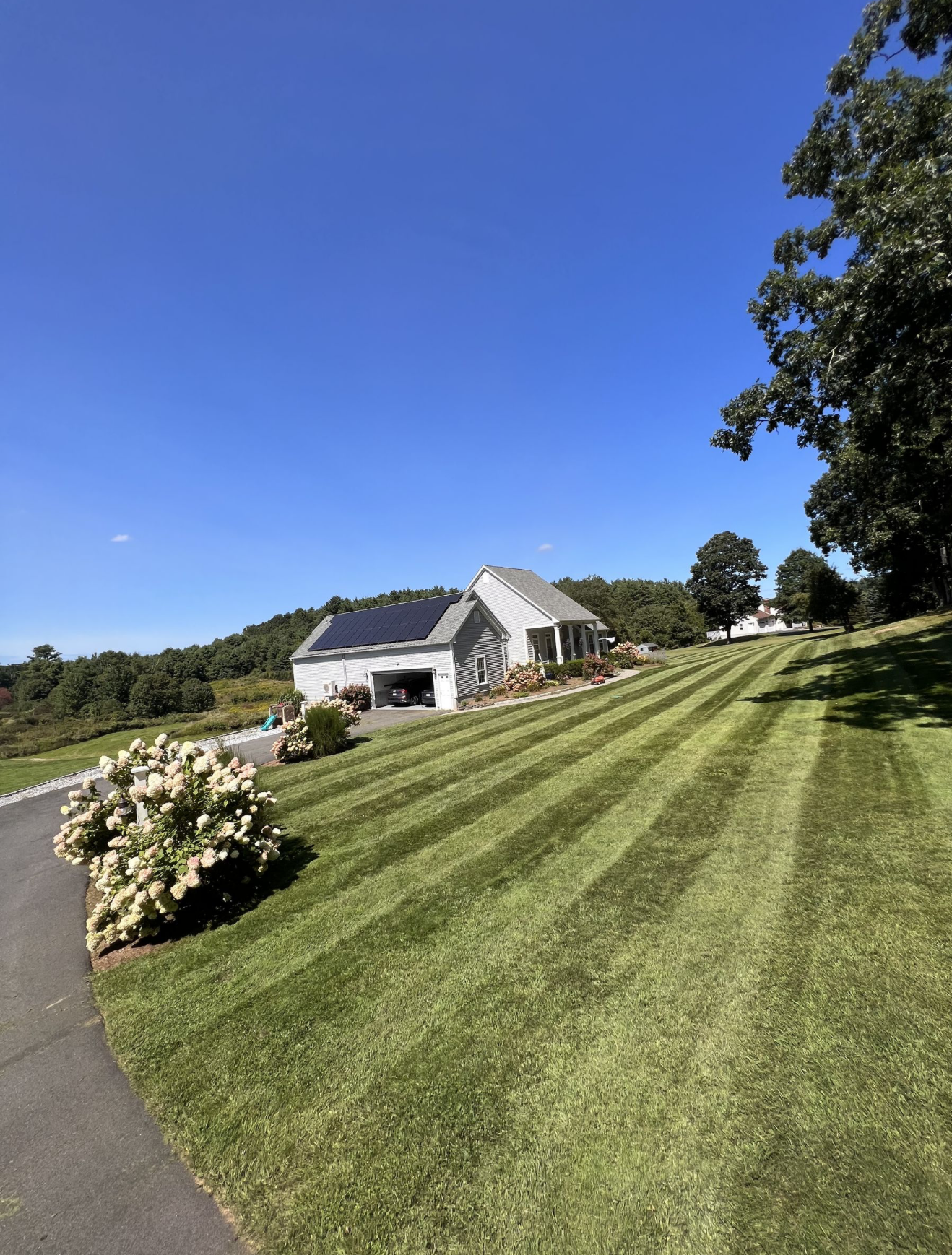 Freshly striped lawn